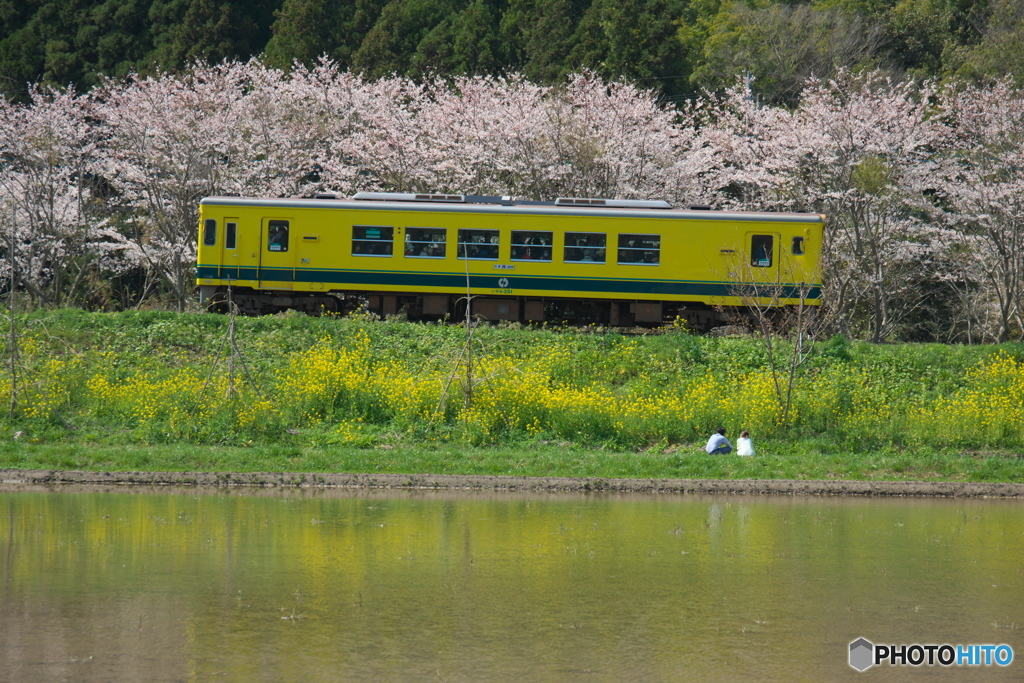 いすみの春04