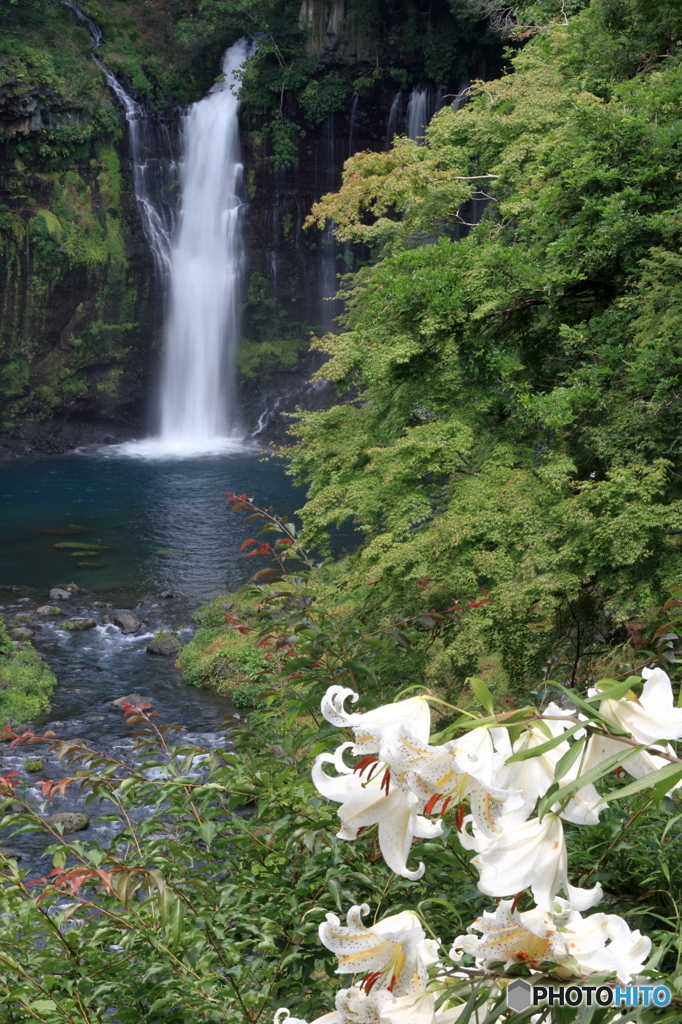 白糸の滝1