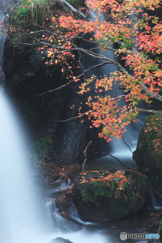 竜頭の滝_03