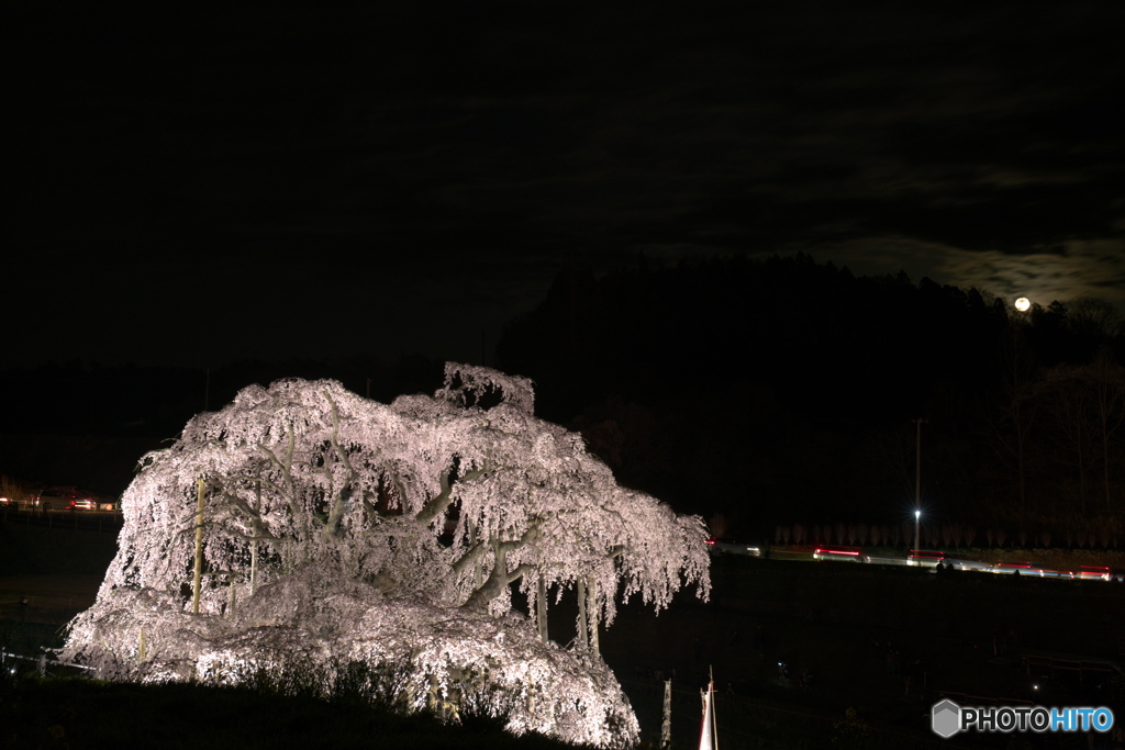 闇夜に浮かぶ滝桜03