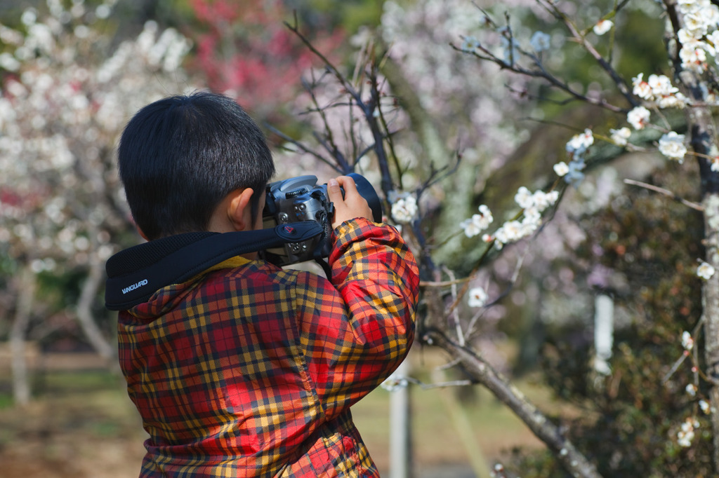 ミニチュアカメラマン