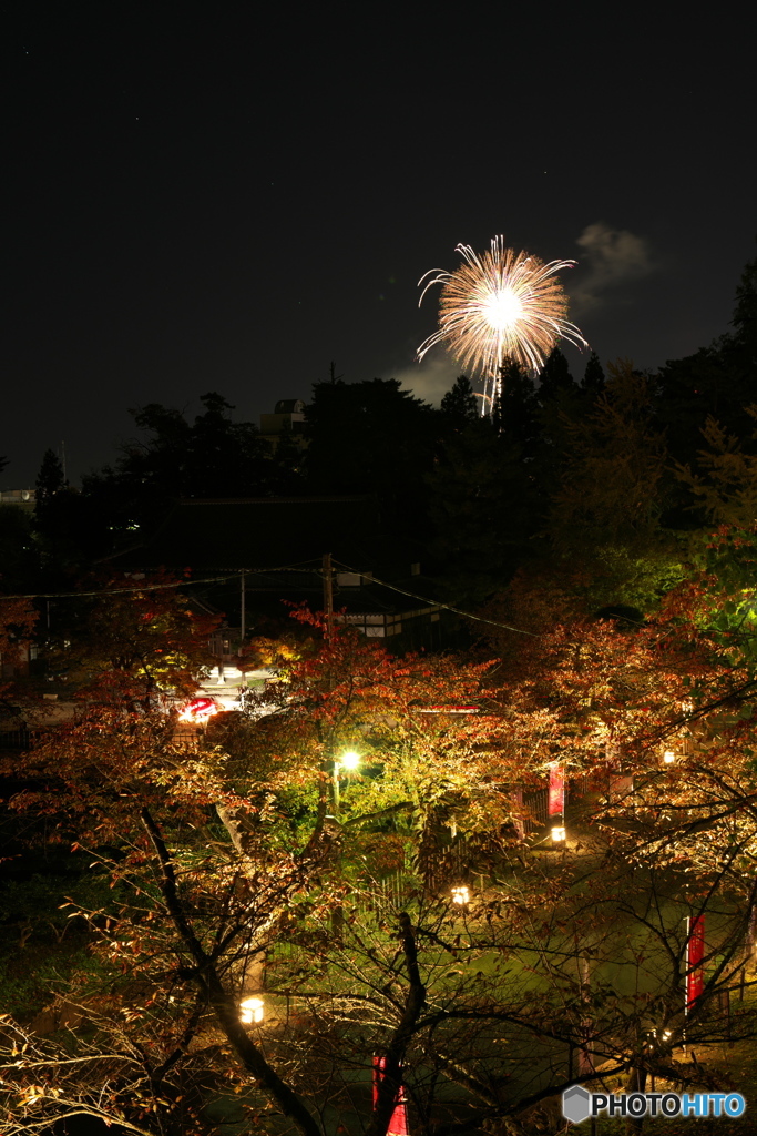 花火と紅葉_01