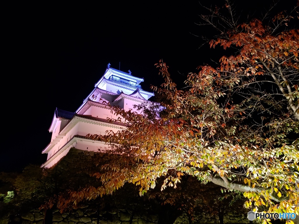 鶴ヶ城