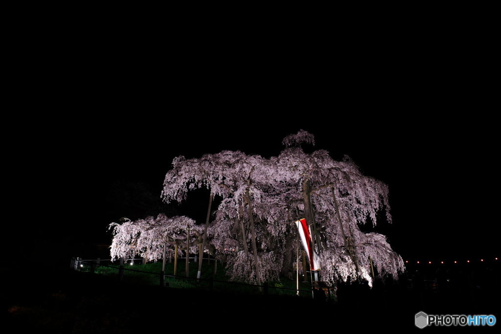 闇夜に浮かぶ滝桜01