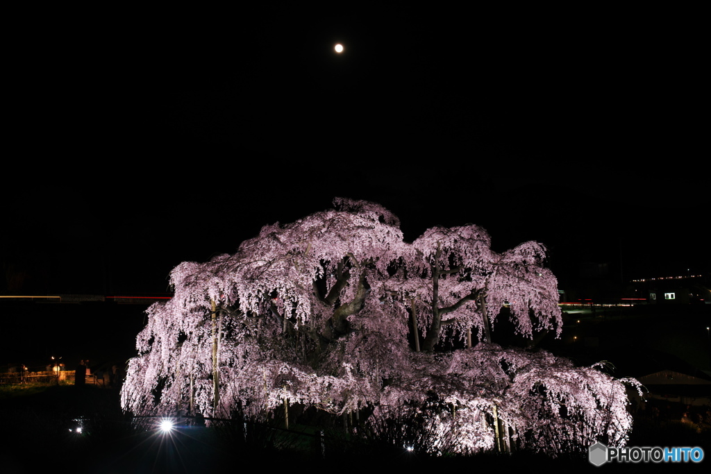 闇夜に浮かぶ滝桜04