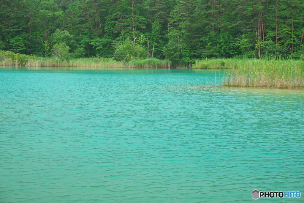 五色沼