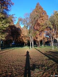 水元公園