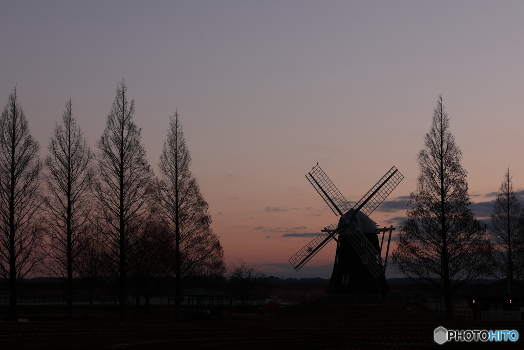 Last Sunrise