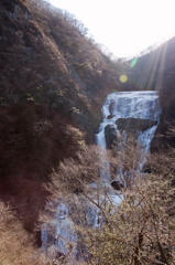 袋田の滝氷瀑