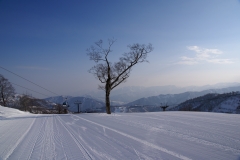 早朝の山