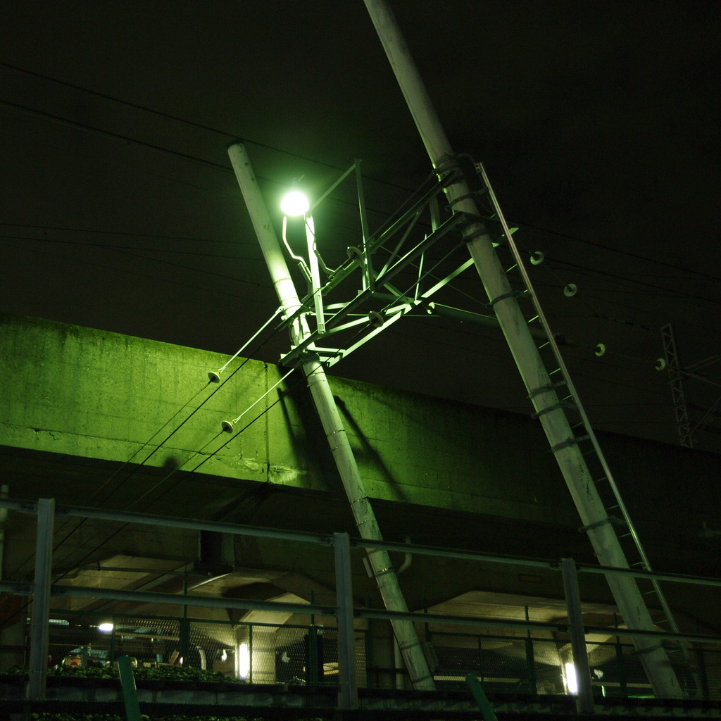 IMGP1378