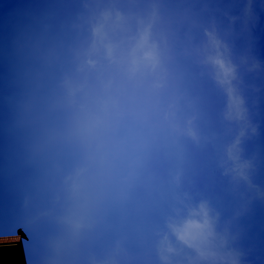 空を見上げて