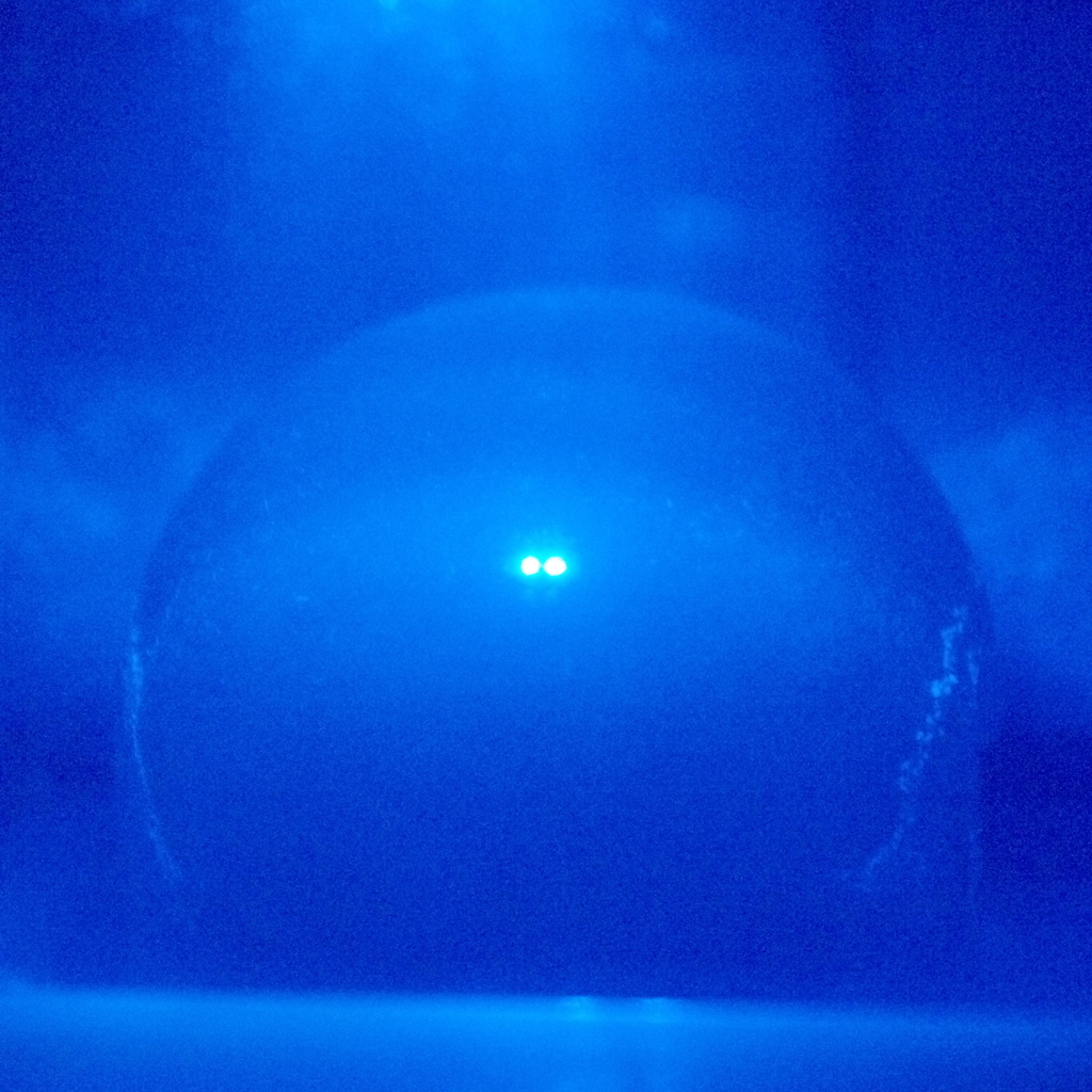 blue egg
