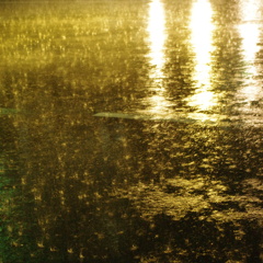 sparkling rain