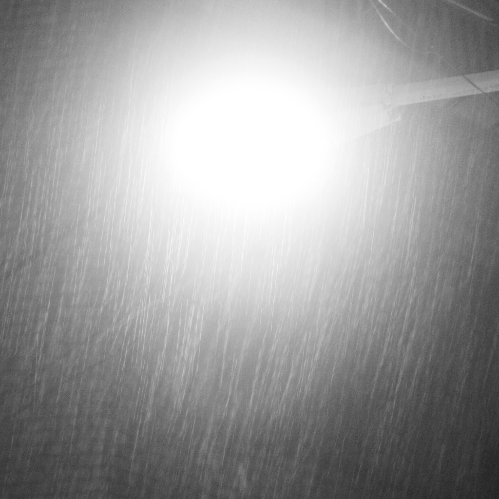 モノクロの雨