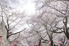 津山城址