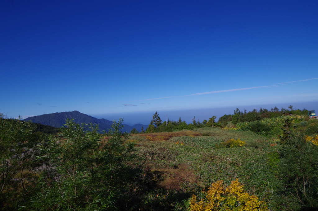 立山黒部アルペンルート