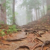 貴船〜鞍馬間　山道にて