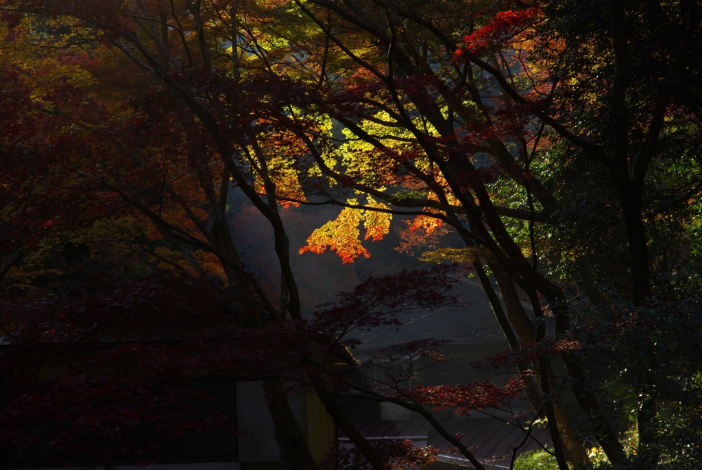 箕面にて