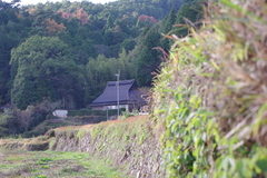妙見1