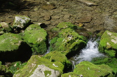 秋芳洞入り口付近