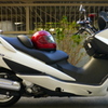 再び。(SUZUKI SKYWAVE250　BA-CJ43A )