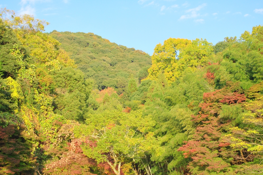 宇治にて