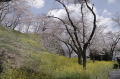 津山城址