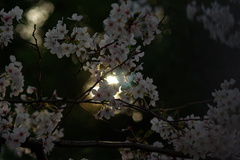 杭全公園近くで