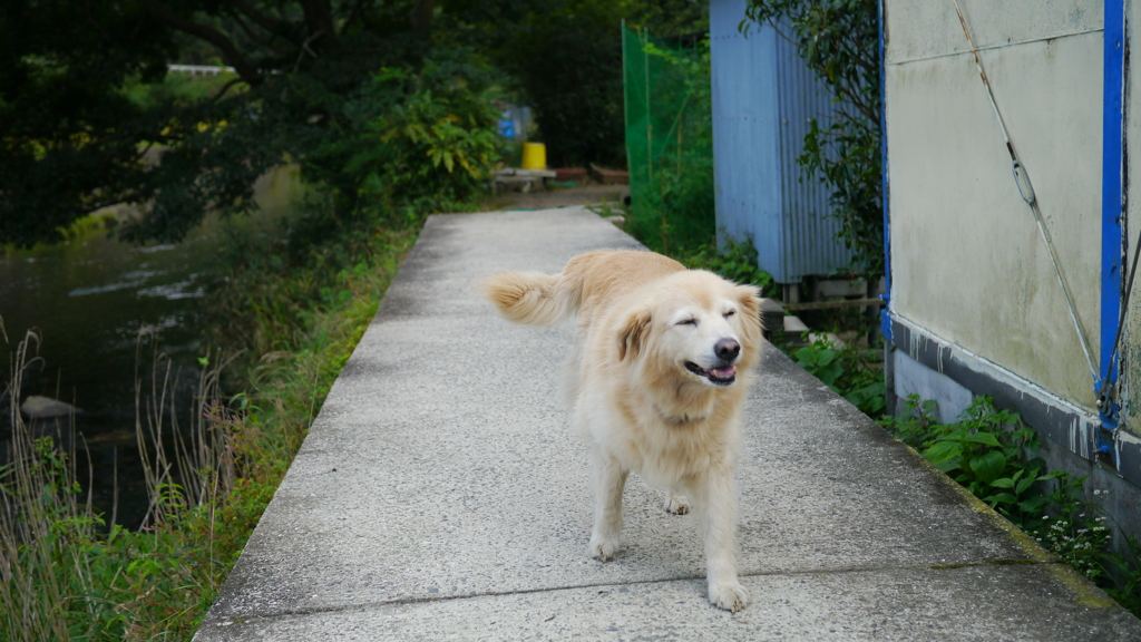 山空海温泉にて