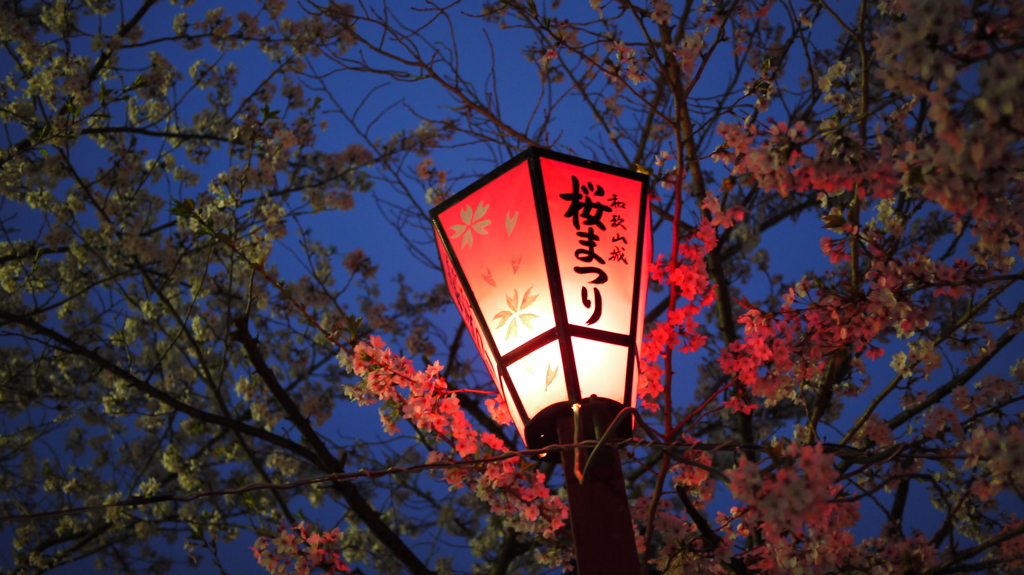 和歌山城