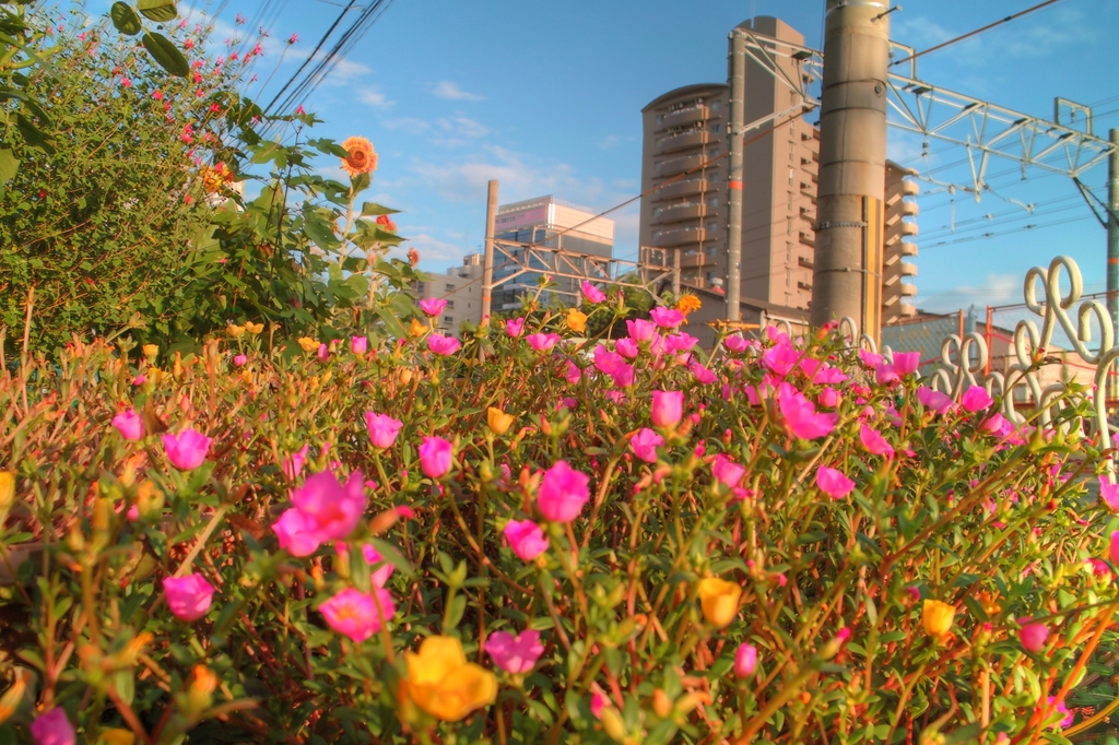 マンション花壇
