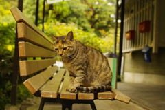 八瀬ケーブル駅にて