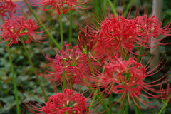 マンションにて