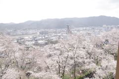 津山城址