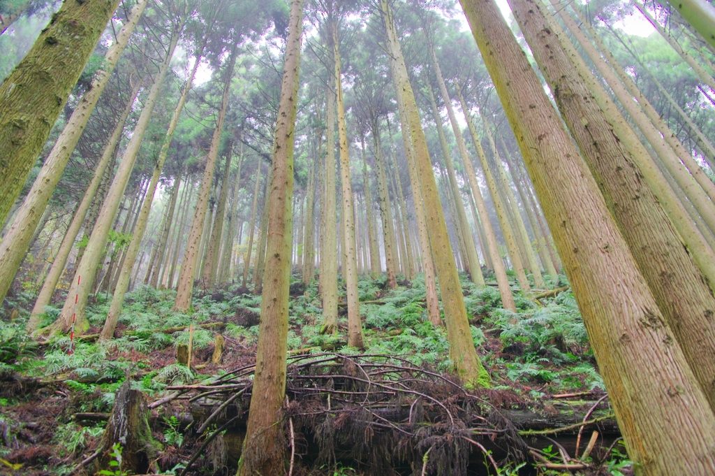 貴船にて