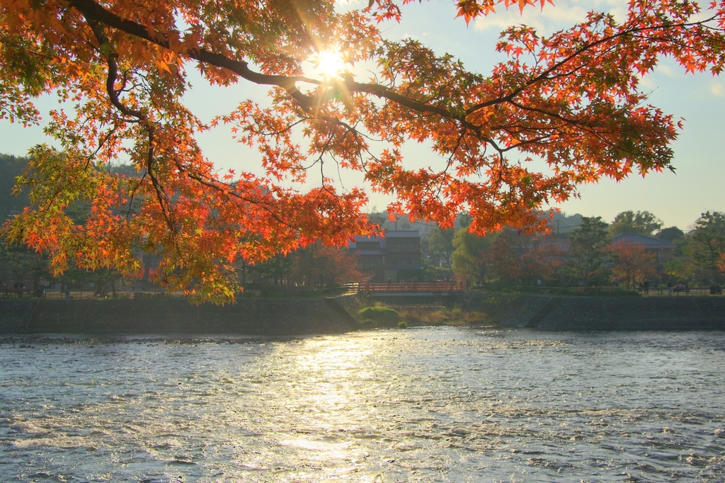 宇治 hdr2