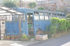 バス