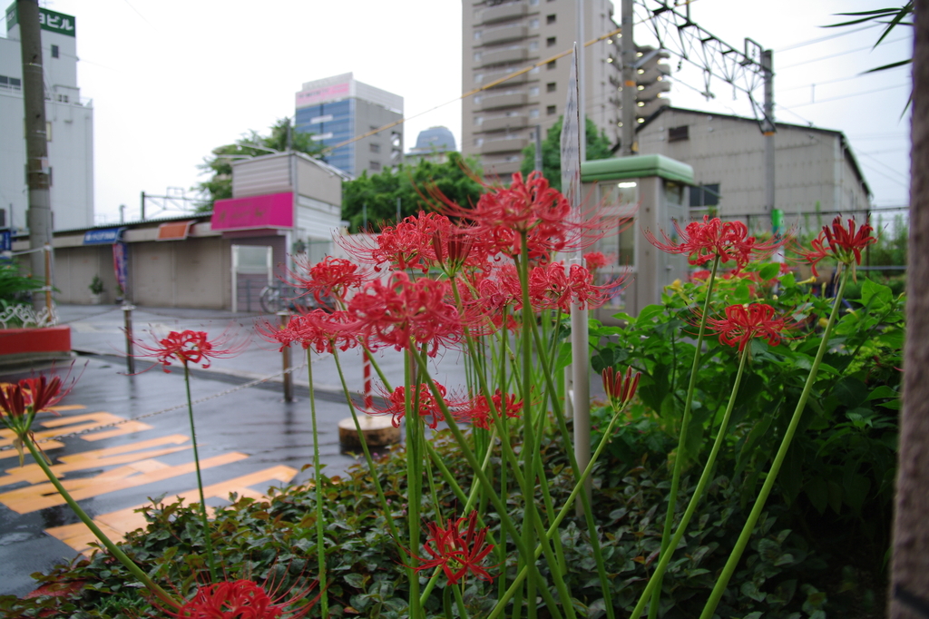 マンションにて2