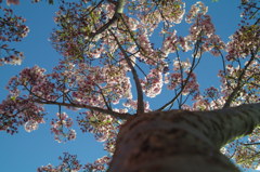 杭全公園