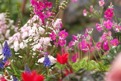 善通寺市役所近く