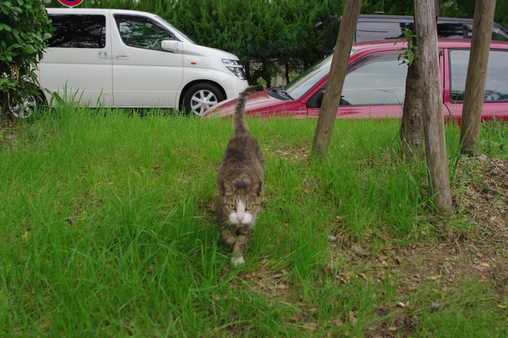 杭全公園で