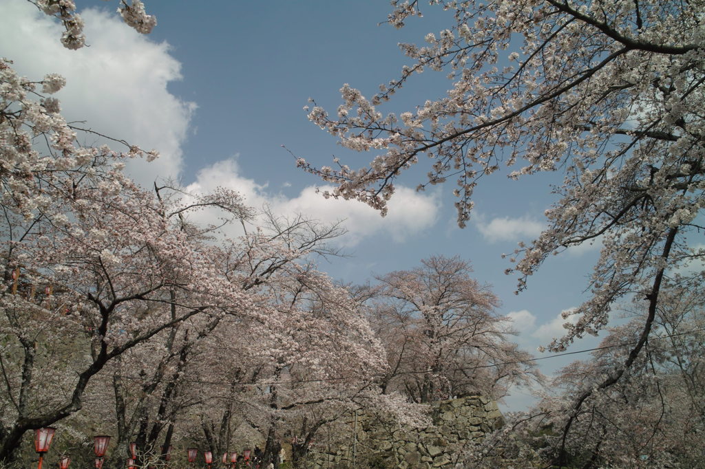 津山城址