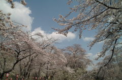 津山城址