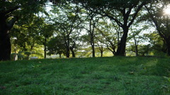 住吉公園３