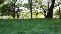 住吉公園２