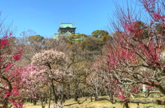 大阪城梅園