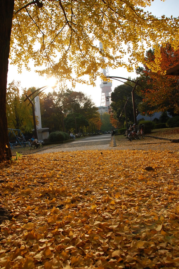 冬の散歩道