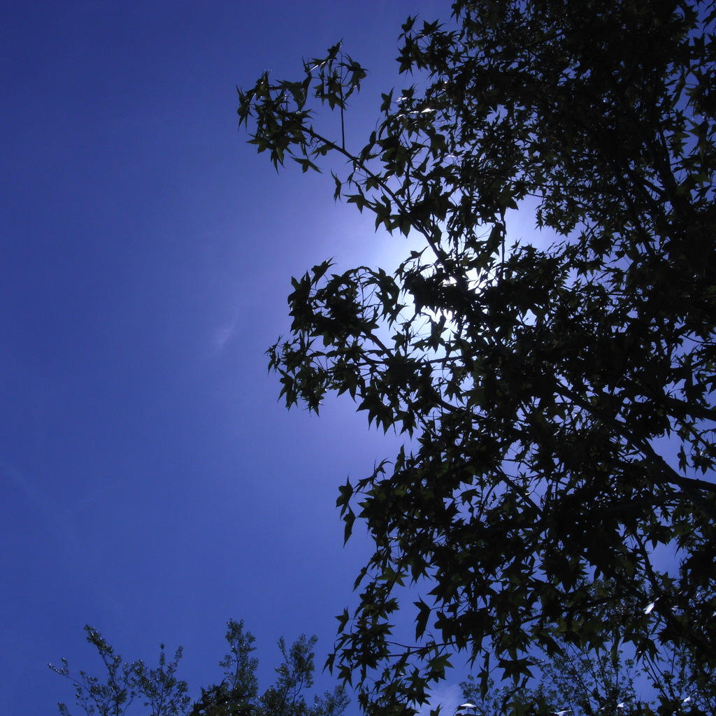 今日の青空１