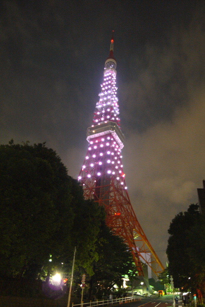 Tokyo Tower Today